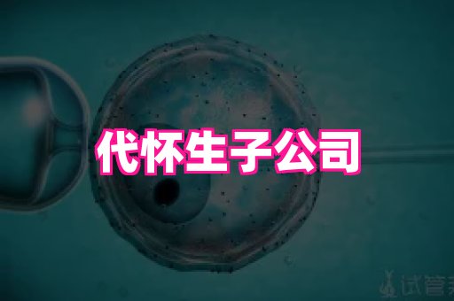123试管孕网 4